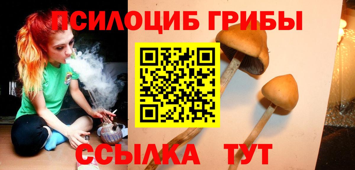 Галлюциногенные грибы ЛСД  Вход с VPN  Галлюциногенные грибы Cubensis  Бийск 