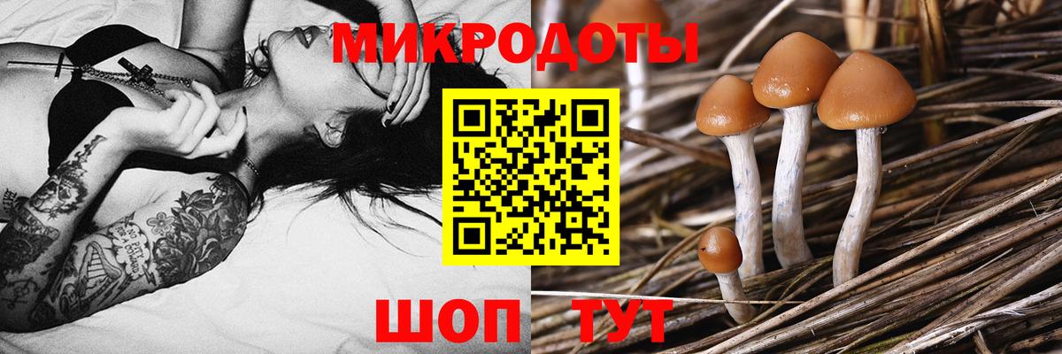 Псилоцибиновые грибы MAGIC MUSHROOMS Бийск