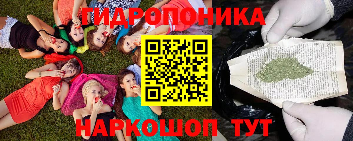 Марихуана гибрид  Конопля планчик  Бийск  Шишки марихуана OG Kush  Вход с VPN 